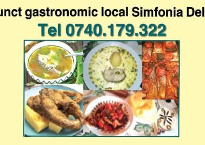 Pensiunea Simfonia Deltei Mahmudia - banner