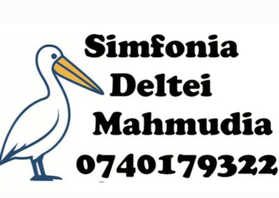 Pnesiunea Simfonia Deltei Mahmudia - contact