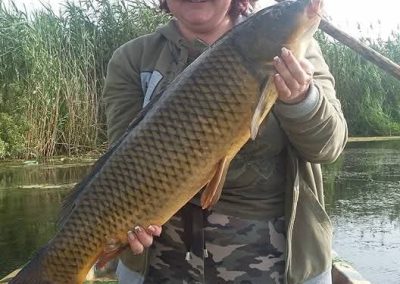 Pnesiunea Simfonia Deltei Mahmudia - captura