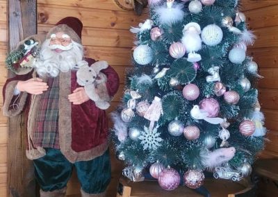 Pensiunea Simfonia Deltei Mahmudia - cazare si masa de craciun in Delta Dunarii