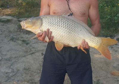 Pensiunea Simfonia Deltei Mahmudia - captura peste