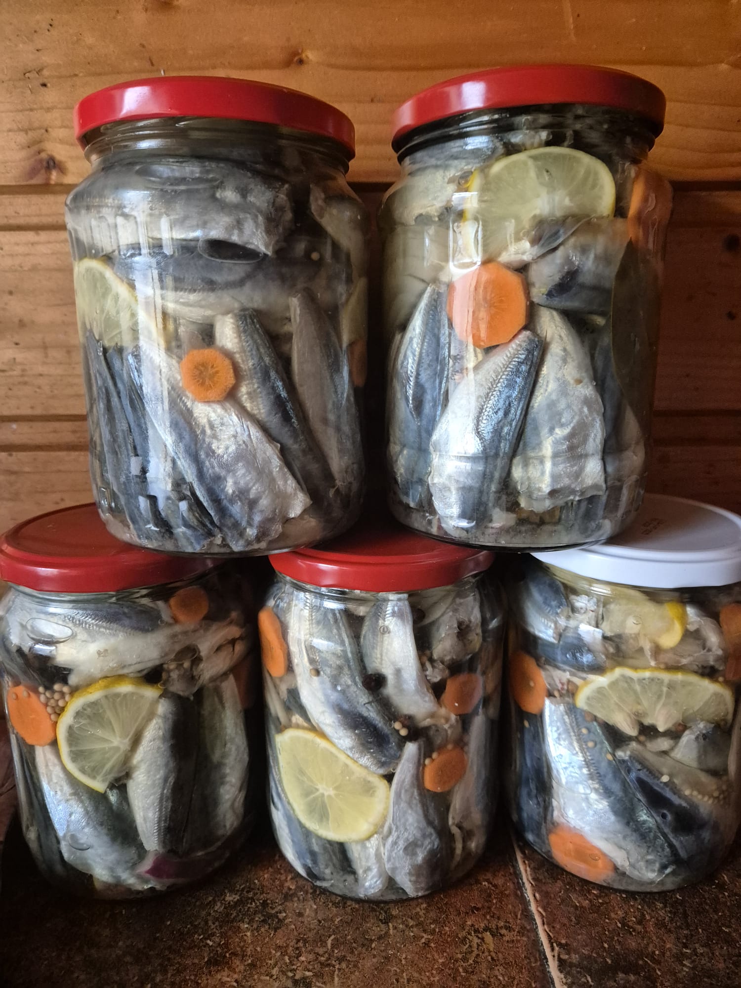 Pensiunea Simfonia Deltei Mahmudia- PREPARARE ȘI COMERCIALIZARE PRODUSE PESCĂREȘTI