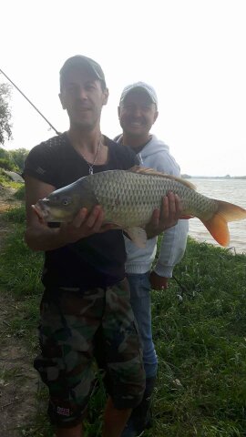 Pensiunea Simfonia Deltei Mahmudia - pescuit