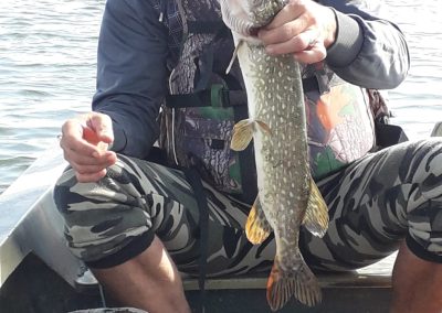 Pensiunea Simfonia Deltei Mahmudia - pescuit