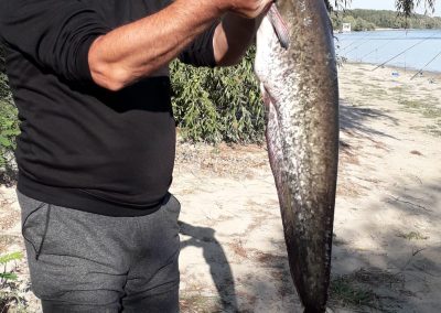 Pensiunea Simfonia Deltei Mahmudia - pescuit