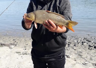 Pensiunea Simfonia Deltei Mahmudia - pescuit