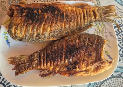 Pensiunea Simfonia Deltei Mahmudia- preparate la comanda