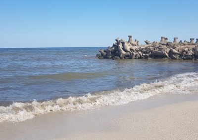 Pensiunea Simfonia Deltei Mahmudia - plimbare barca delta dunarii