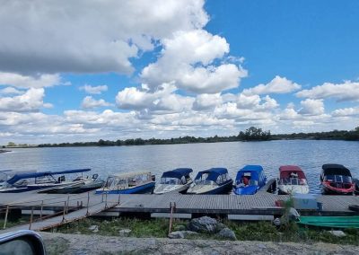 Pnesiunea Simfonia Deltei Mahmudia- Traseu 2 cu barca